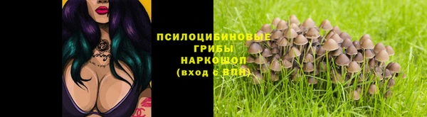 винт Инсар
