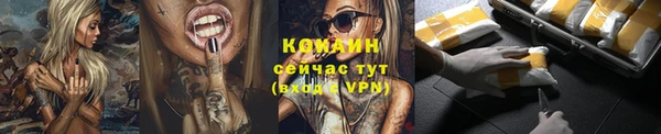 винт Инсар