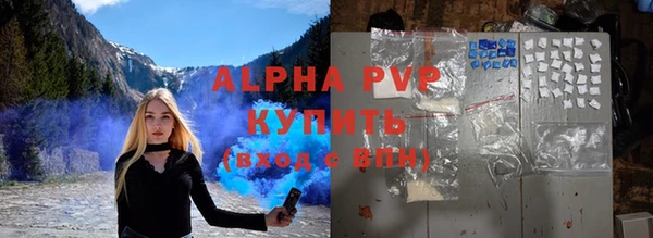 винт Инсар