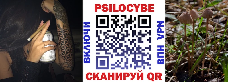 Галлюциногенные грибы Magic Shrooms Рубцовск