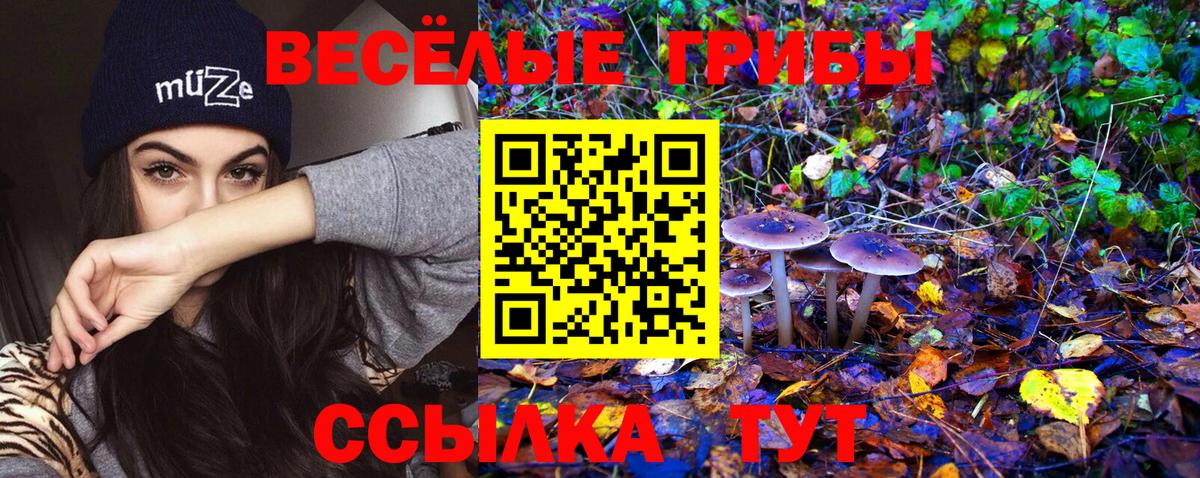 Галлюциногенные грибы Psilocybe  Галлюциногенные грибы MAGIC MUSHROOMS  Рубцовск  Вход с VPN 